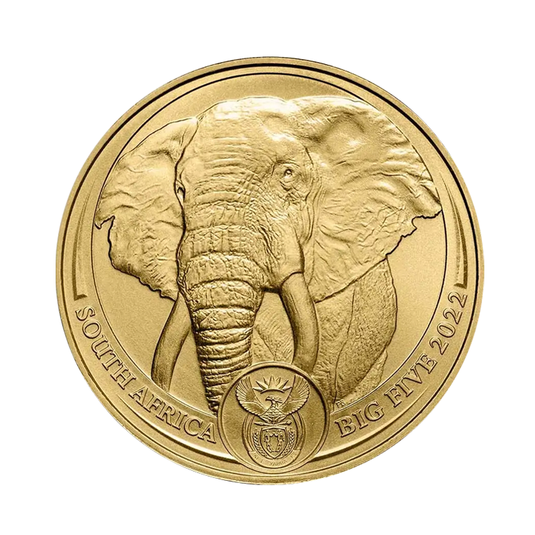 1 troy ounce gouden Big Five munt