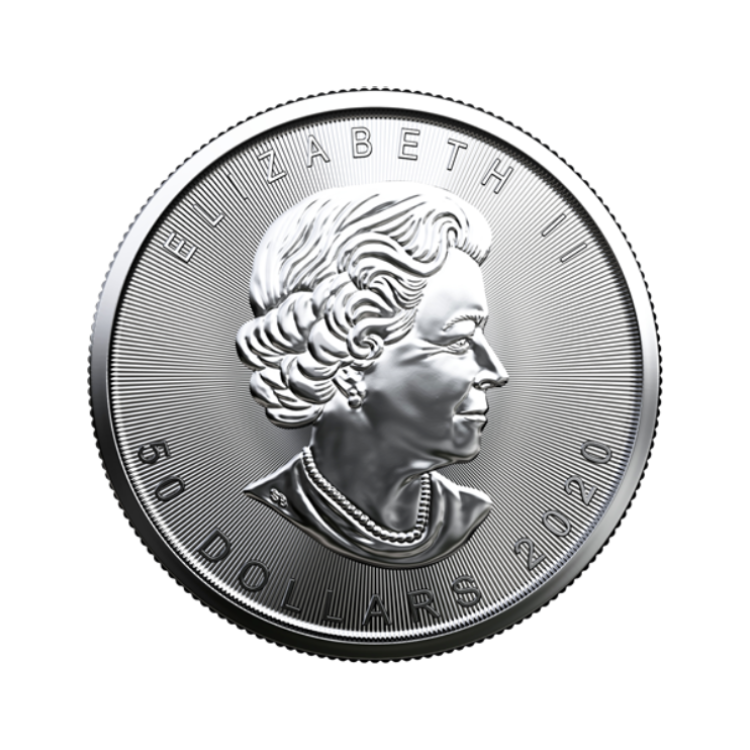 1 troy ounce platina Maple Leaf munt